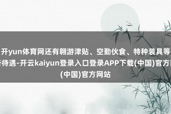 开yun体育网还有翱游津贴、空勤伙食、特种装具等稀奇待遇-开云kaiyun登录入口登录APP下载(中国)官方网站