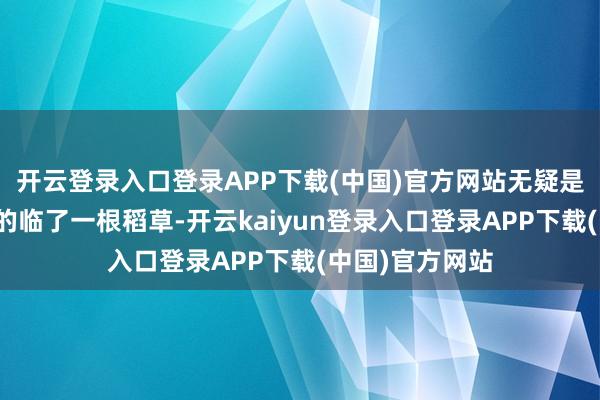 开云登录入口登录APP下载(中国)官方网站无疑是压垮许多家庭的临了一根稻草-开云kaiyun登录入口登录APP下载(中国)官方网站