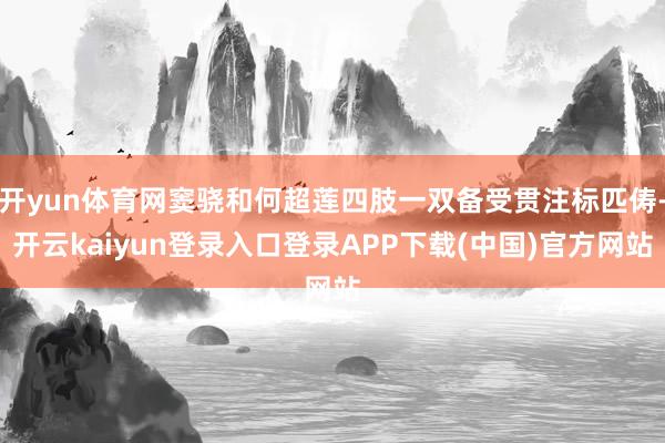 开yun体育网窦骁和何超莲四肢一双备受贯注标匹俦-开云kaiyun登录入口登录APP下载(中国)官方网站