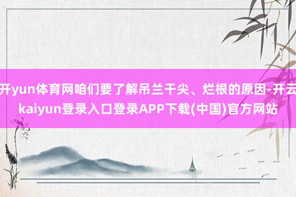 开yun体育网咱们要了解吊兰干尖、烂根的原因-开云kaiyun登录入口登录APP下载(中国)官方网站
